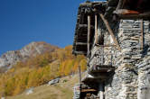 20091030_111316 Alpe Cermine.jpg